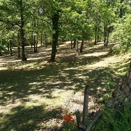 Le Roqual * Carsac-Aillac