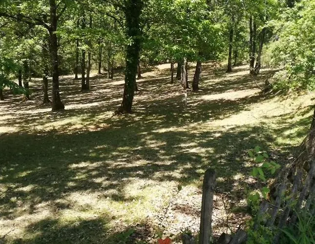 Le Roqual * Carsac-Aillac