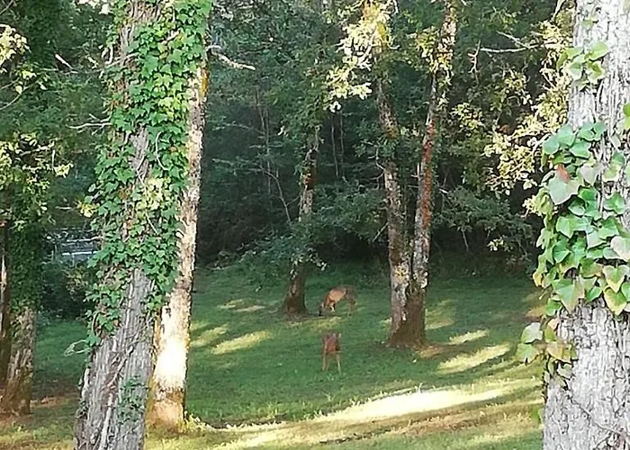 Ferienhaus Le Roqual